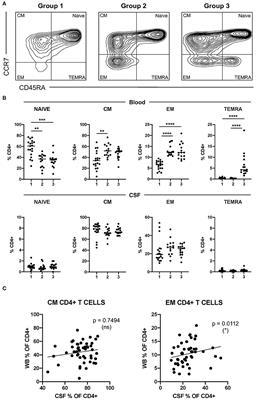 Characterization of Antigen-Induced CD4+ T-Cell Senescence in Multiple Sclerosis